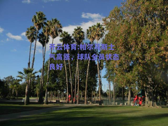开云体育:帕尔马斯士气高涨，球队全员状态良好